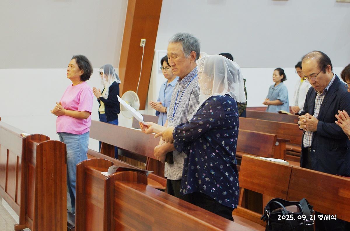 IMGP6290.JPG