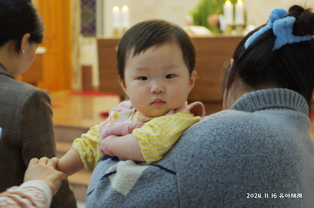 IMGP4448.JPG