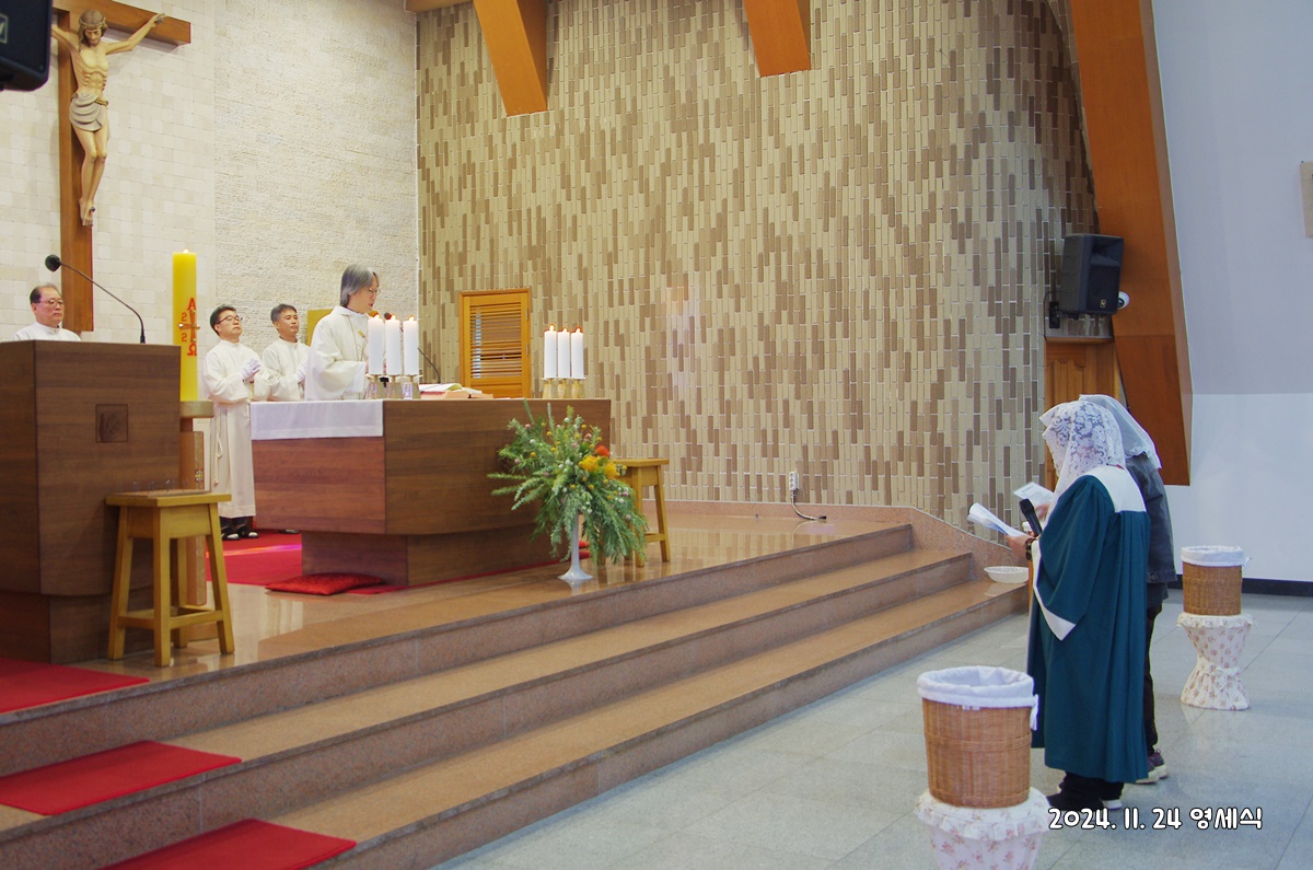 IMGP4749.JPG
