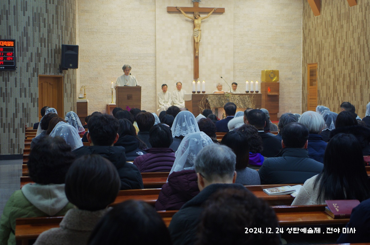 IMGP5036.JPG