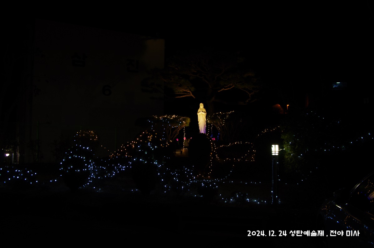 IMGP4972.JPG
