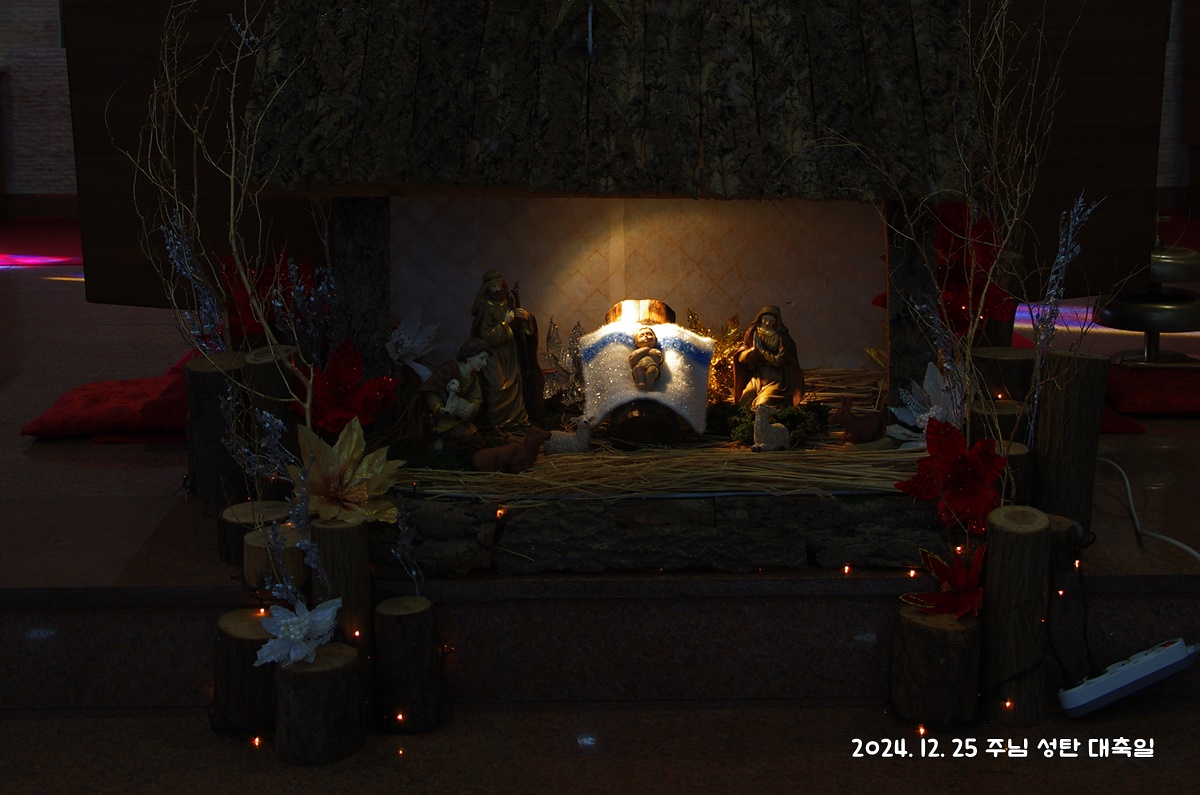 IMGP5072.JPG