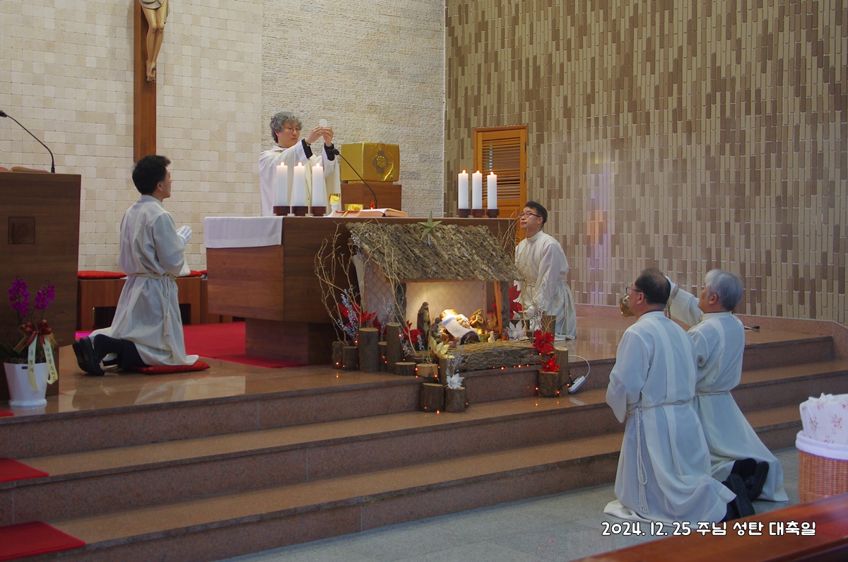 IMGP5064.JPG