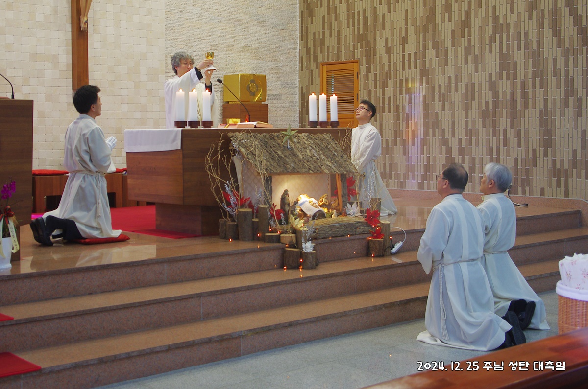 IMGP5066.JPG