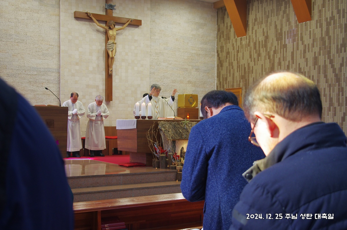 IMGP5067.JPG