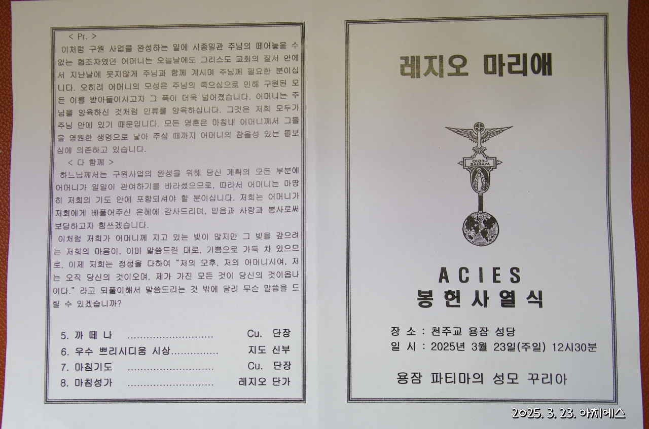 batch_IMGP5520.JPG
