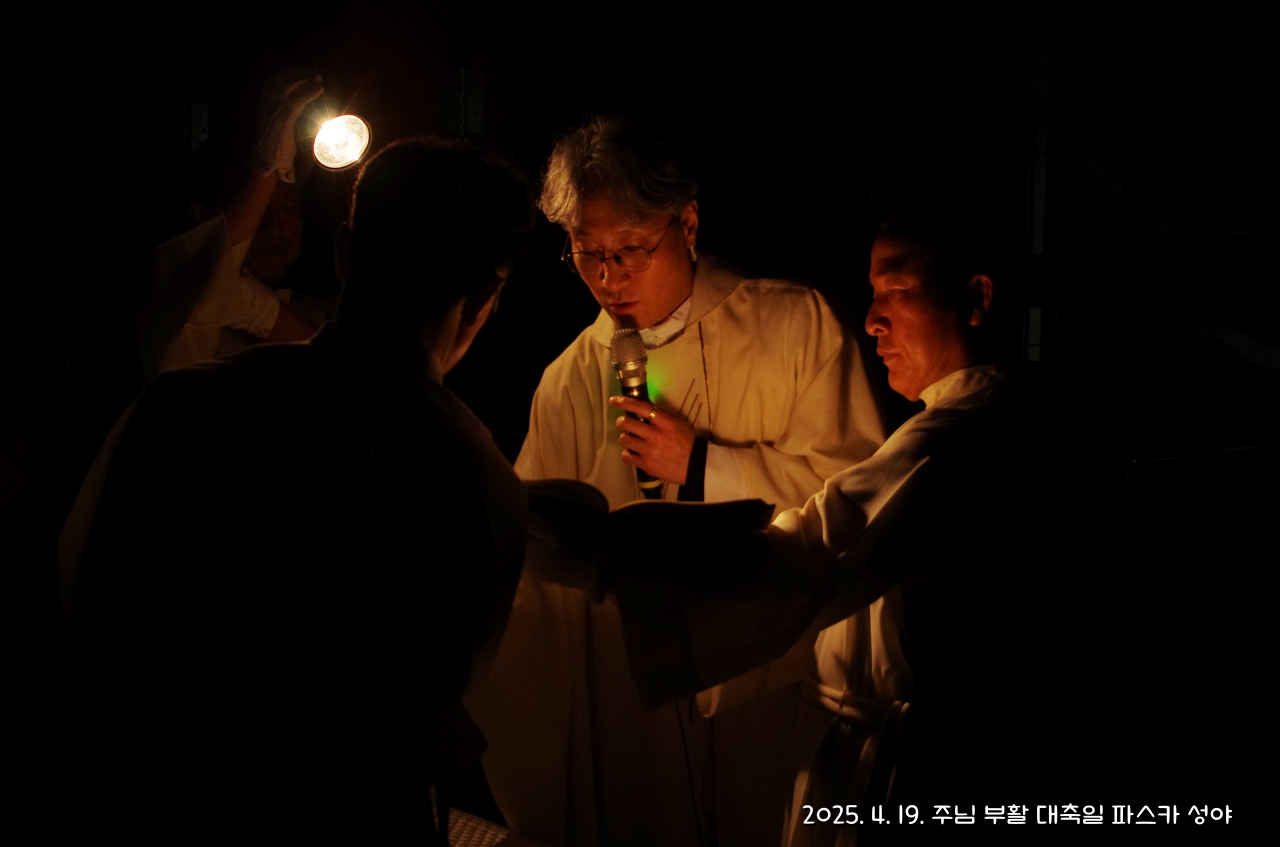 batch_IMGP5619.JPG