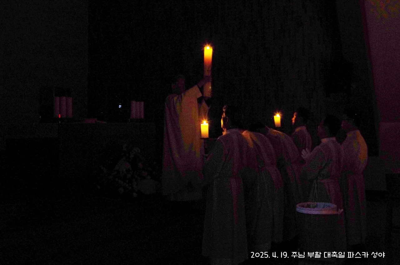 batch_IMGP5629.JPG