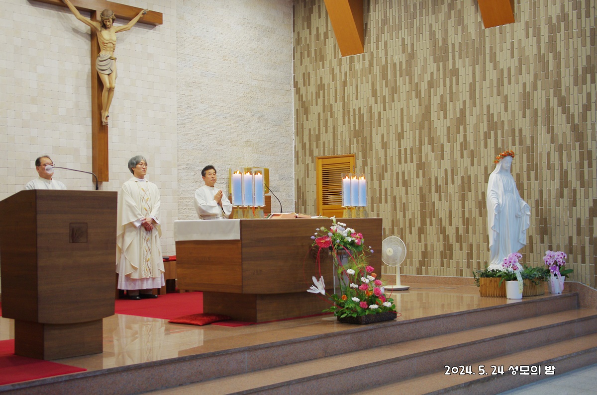 IMGP3940.JPG