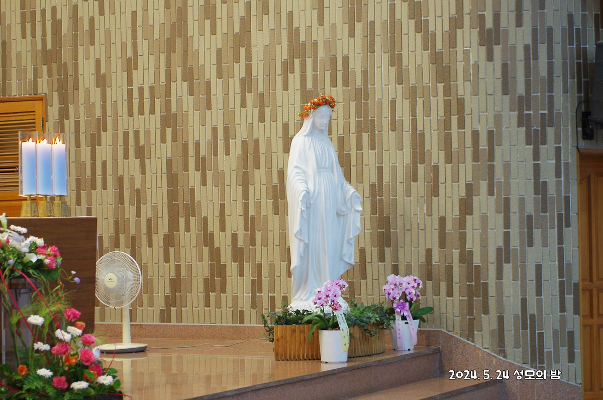 IMGP3939.JPG