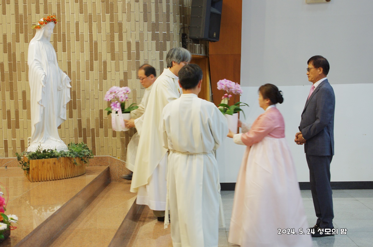 IMGP3935.JPG