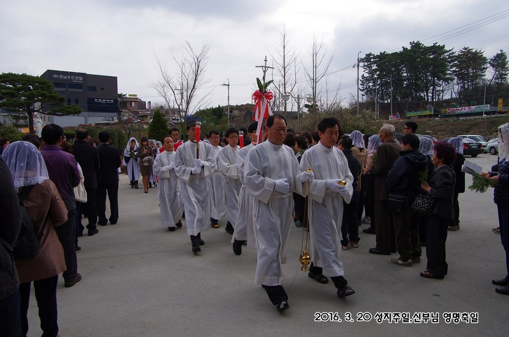 IMGP7434.JPG