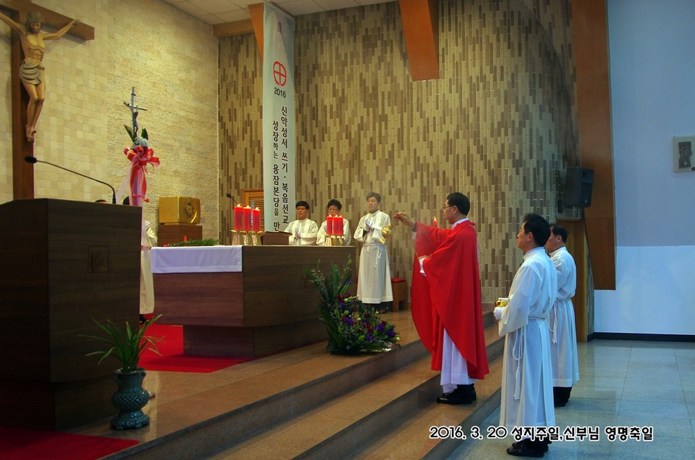 IMGP7443.JPG