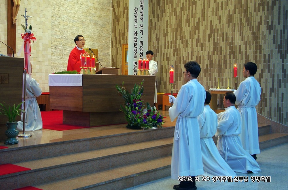 IMGP7449.JPG