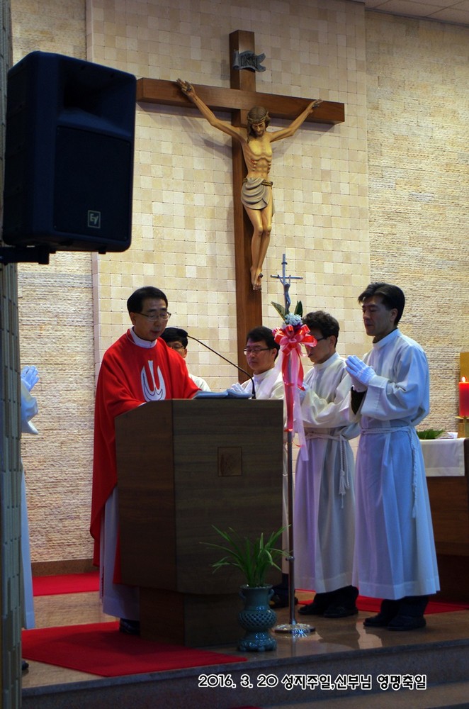 IMGP7447.JPG