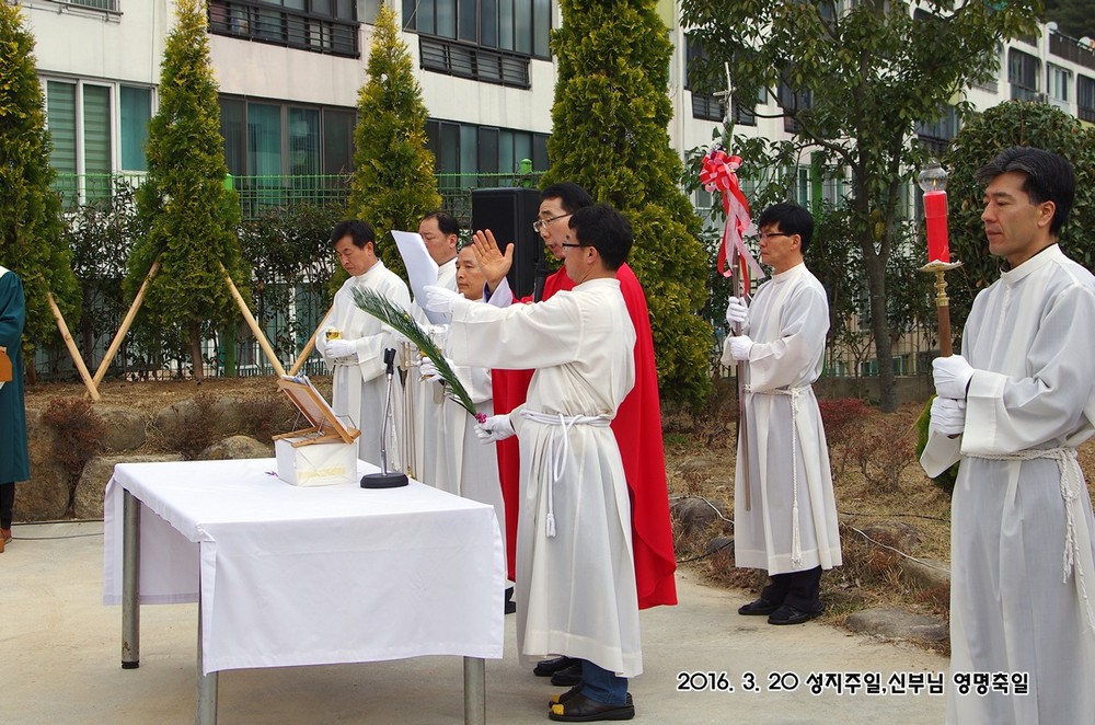 IMGP7428.JPG