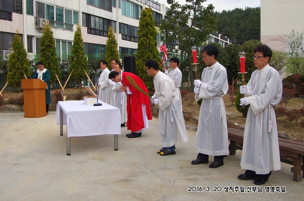 IMGP7425.JPG