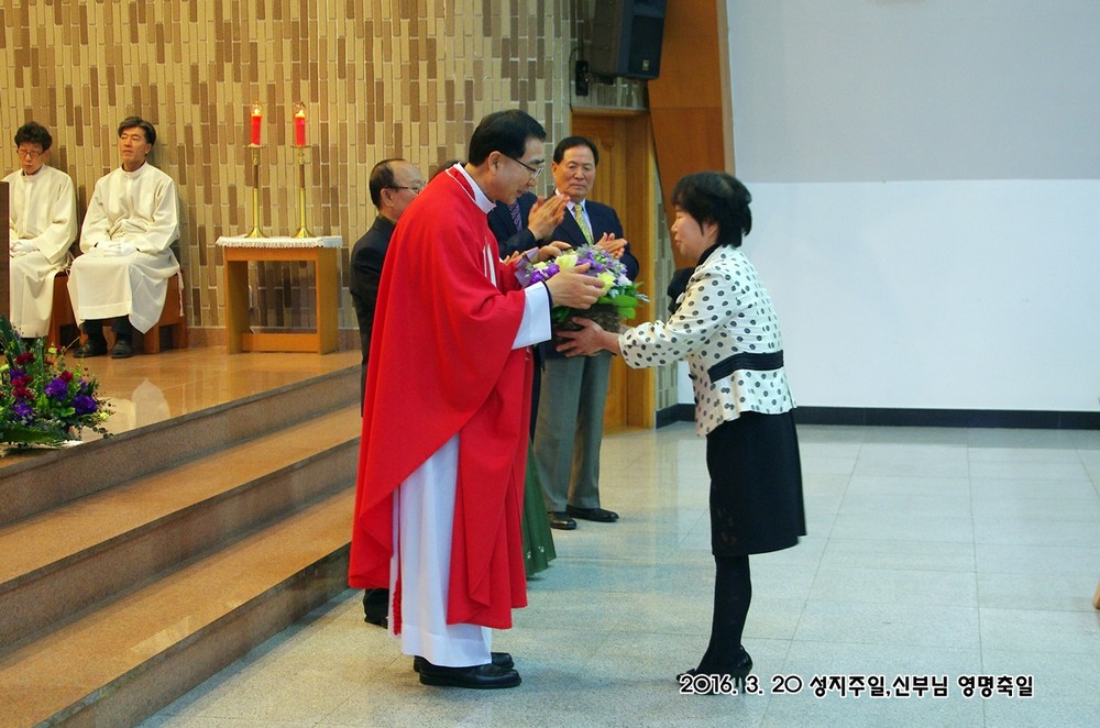 IMGP7461.JPG