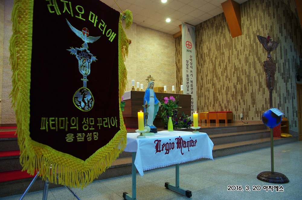 IMGP7489.JPG