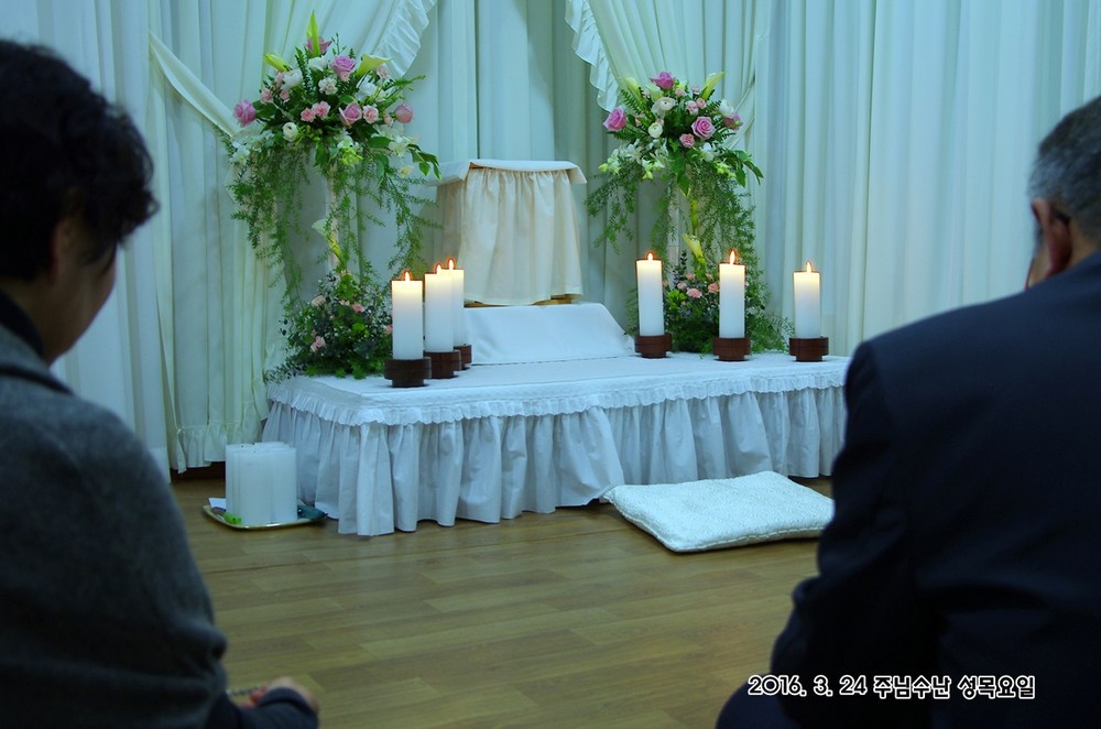 IMGP7577.JPG